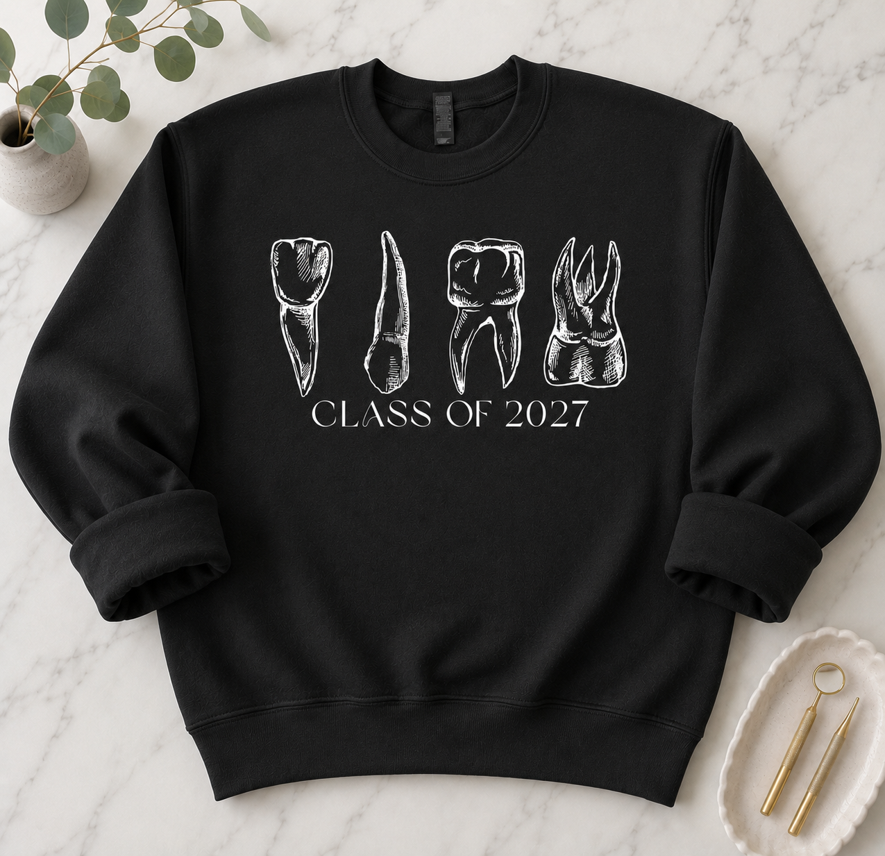 Anatomy Teeth Class Of 2027