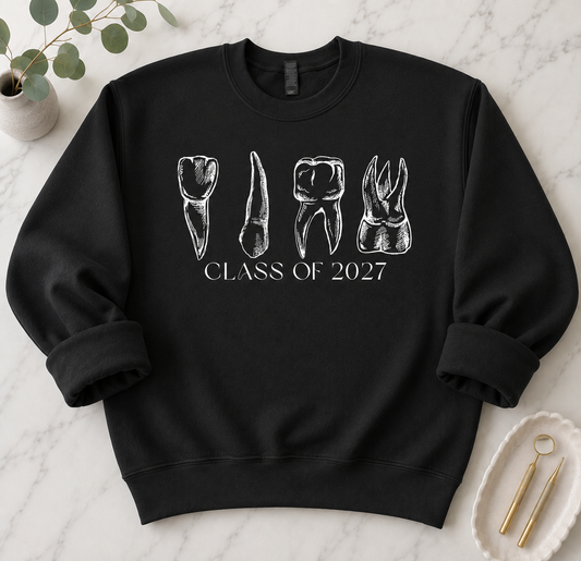 Anatomy Teeth-Choose Your Class