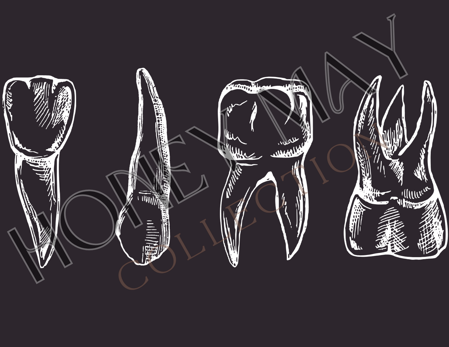 Anatomy Teeth DTF Heat Press Sheet- Single