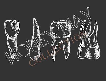 Anatomy Teeth Digital File PNG